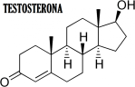 005 testosterona-e1487783916308